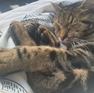 Meet your Posher, Sarah-anne